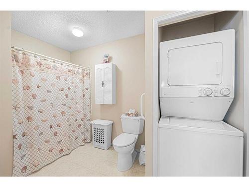 2727 Dovely Park Se, Calgary, AB - Indoor Photo Showing Laundry Room