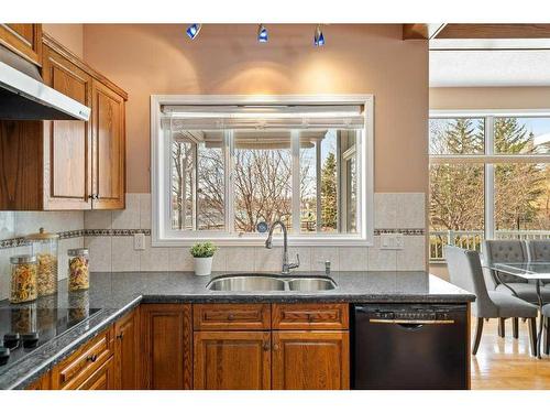 54 Chapala Crescent Se, Calgary, AB - Indoor Photo Showing Kitchen With Double Sink