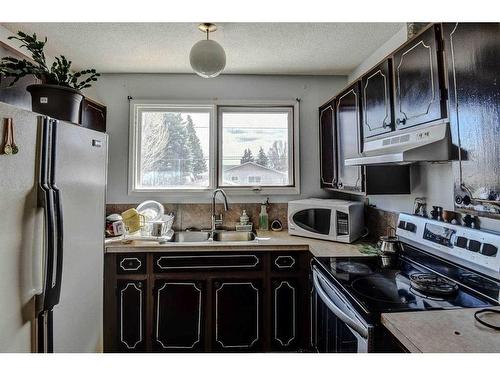 5015 Whitehorn Drive Ne, Calgary, AB - Indoor Photo Showing Kitchen With Double Sink