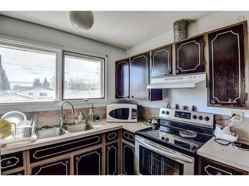 5015 Whitehorn Drive Ne, Calgary, AB - Indoor Photo Showing Kitchen With Double Sink