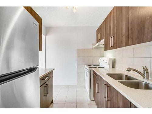 2435 48 Street Se, Calgary, AB - Indoor Photo Showing Kitchen With Double Sink