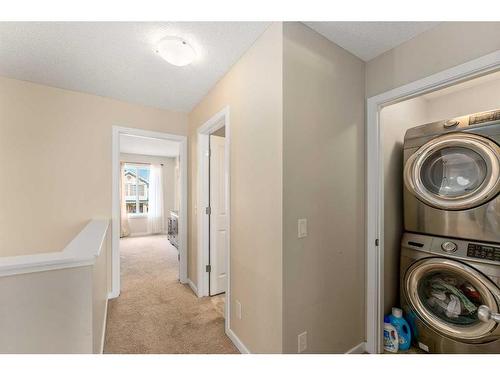 228 Copperpond Parade Se, Calgary, AB - Indoor Photo Showing Laundry Room