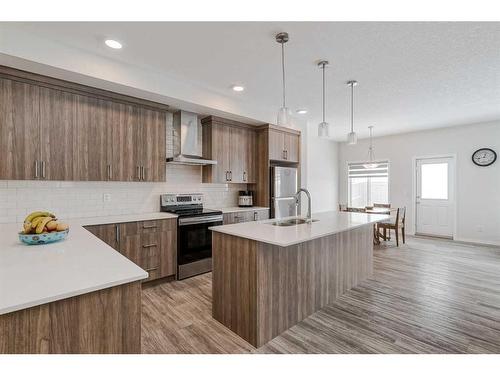 227 Savanna Way Ne, Calgary, AB - Indoor Photo Showing Kitchen With Stainless Steel Kitchen With Double Sink With Upgraded Kitchen