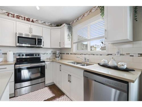201-304 Cranberry Park Se, Calgary, AB - Indoor Photo Showing Kitchen With Double Sink