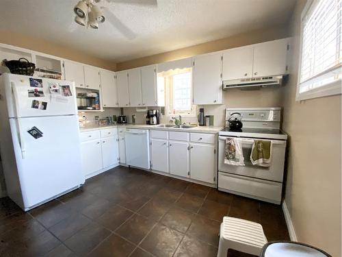 5134 49 Street, Olds, AB - Indoor Photo Showing Kitchen With Double Sink