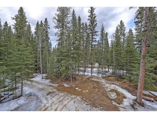 136-5417 Highway 579, Rural Mountain View County, AB - Outdoor With View