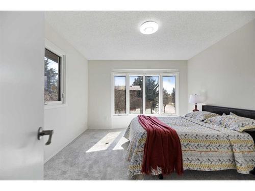 79 Wood Crescent Sw, Calgary, AB - Indoor Photo Showing Bedroom