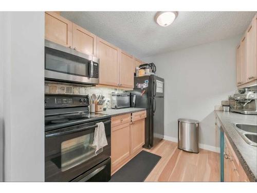 301-930 18 Avenue Sw, Calgary, AB - Indoor Photo Showing Kitchen With Double Sink