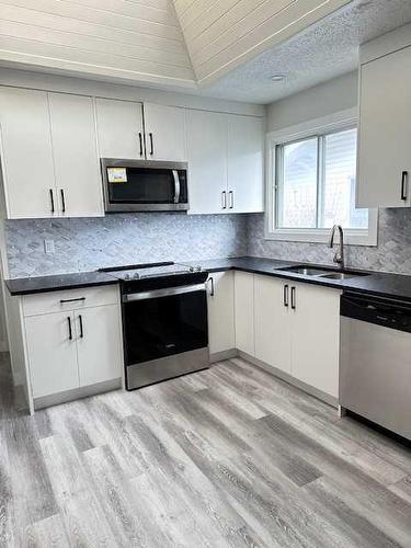 259 Manora Crescent Ne, Calgary, AB - Indoor Photo Showing Kitchen With Double Sink With Upgraded Kitchen