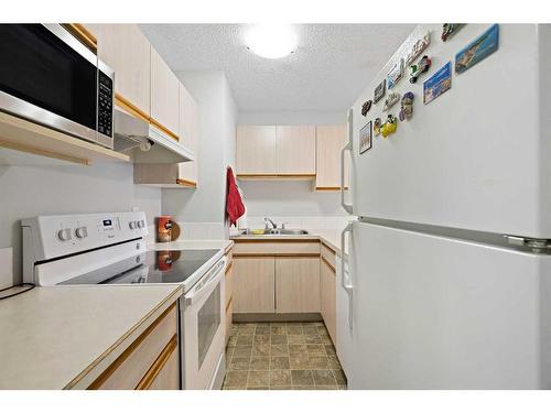 210-647 1 Avenue Ne, Calgary, AB - Indoor Photo Showing Kitchen With Double Sink