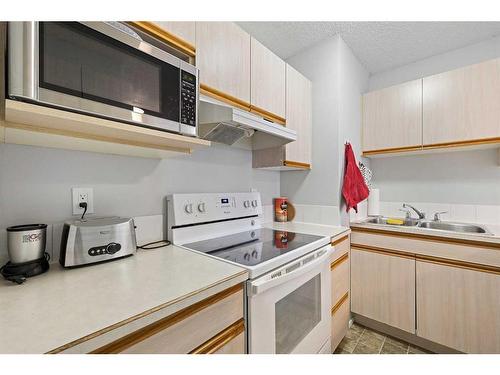 210-647 1 Avenue Ne, Calgary, AB - Indoor Photo Showing Kitchen With Double Sink