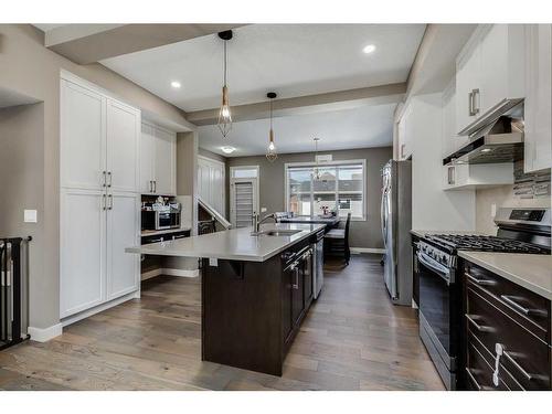 1054 Carrington Boulevard Nw, Calgary, AB - Indoor Photo Showing Kitchen With Double Sink With Upgraded Kitchen