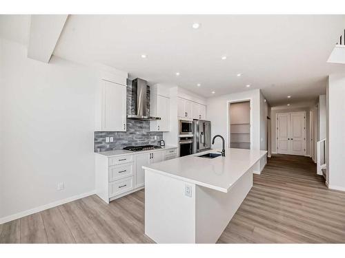 196 Calhoun Crescent Ne, Calgary, AB - Indoor Photo Showing Kitchen With Upgraded Kitchen