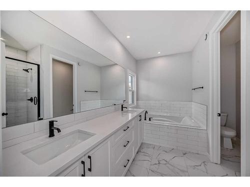 196 Calhoun Crescent Ne, Calgary, AB - Indoor Photo Showing Bathroom