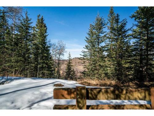 7-29042 Range Road 53, Rural Mountain View County, AB - Outdoor