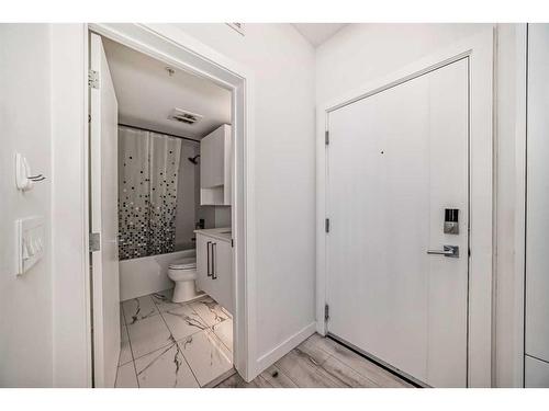 209-3125 39 Street Nw, Calgary, AB - Indoor Photo Showing Bathroom