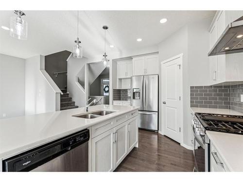 29 Nolanhurst Heights Nw, Calgary, AB - Indoor Photo Showing Kitchen With Double Sink With Upgraded Kitchen