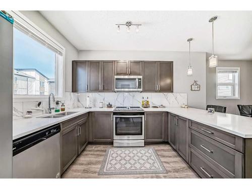 247 Redstone Boulevard Ne, Calgary, AB - Indoor Photo Showing Kitchen With Stainless Steel Kitchen With Double Sink With Upgraded Kitchen