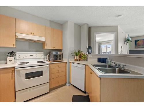 2316-2600 66 Street Ne, Calgary, AB - Indoor Photo Showing Kitchen With Double Sink