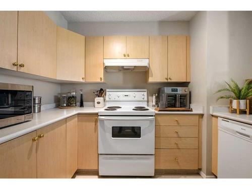 2316-2600 66 Street Ne, Calgary, AB - Indoor Photo Showing Kitchen