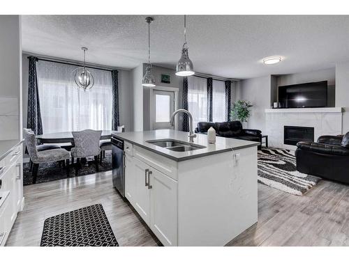 31 Sherview Grove Nw, Calgary, AB - Indoor Photo Showing Kitchen With Fireplace With Double Sink