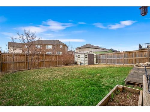 288 Viewpointe Terrace, Chestermere, AB - Outdoor With Backyard