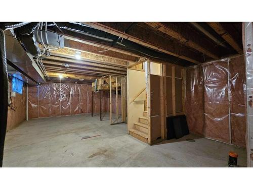 189 Copperstone Terrace Se, Calgary, AB - Indoor Photo Showing Basement