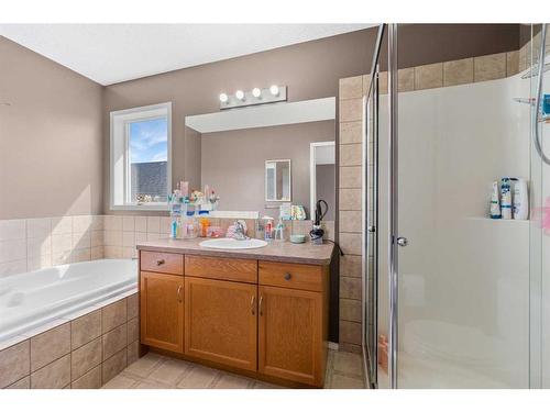 251 Copperfield Heights Se, Calgary, AB - Indoor Photo Showing Bathroom