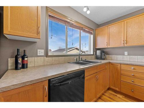 251 Copperfield Heights Se, Calgary, AB - Indoor Photo Showing Kitchen With Double Sink