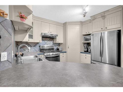 40 Taravista Crescent Ne, Calgary, AB - Indoor Photo Showing Kitchen With Stainless Steel Kitchen With Double Sink