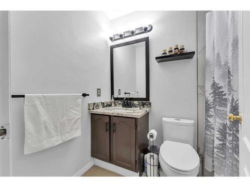 300 Lakeside Greens Crescent, Chestermere, AB - Indoor Photo Showing Bathroom