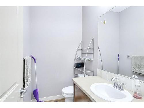 192 Saddlebrook Circle Ne, Calgary, AB - Indoor Photo Showing Bathroom