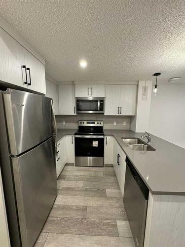 204 Seton Villas Se, Calgary, AB - Indoor Photo Showing Kitchen With Stainless Steel Kitchen With Double Sink