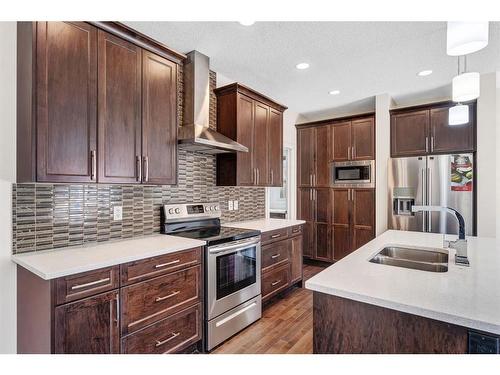 52 Savanna Grove Ne, Calgary, AB - Indoor Photo Showing Kitchen With Double Sink With Upgraded Kitchen
