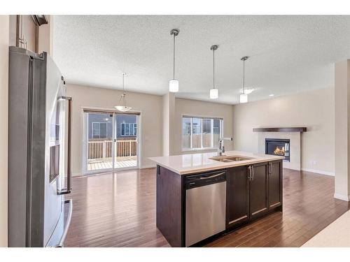 52 Savanna Grove Ne, Calgary, AB - Indoor Photo Showing Kitchen With Double Sink With Upgraded Kitchen