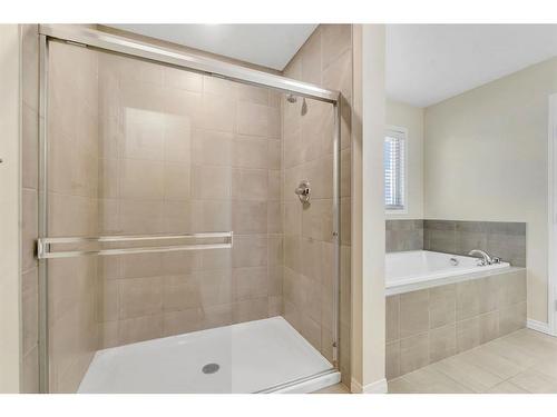 52 Savanna Grove Ne, Calgary, AB - Indoor Photo Showing Bathroom