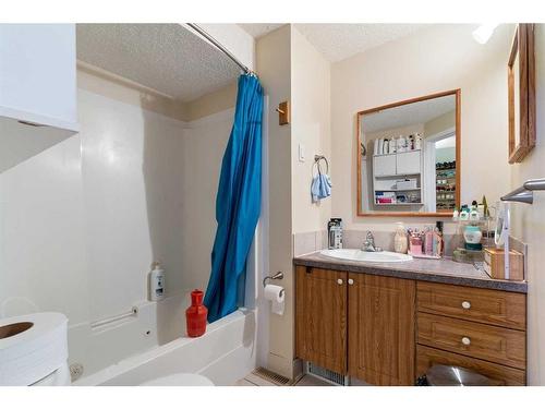 107 Pinemont Bay Ne, Calgary, AB - Indoor Photo Showing Bathroom