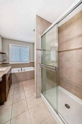 100 Cranberry Circle Se, Calgary, AB - Indoor Photo Showing Bathroom