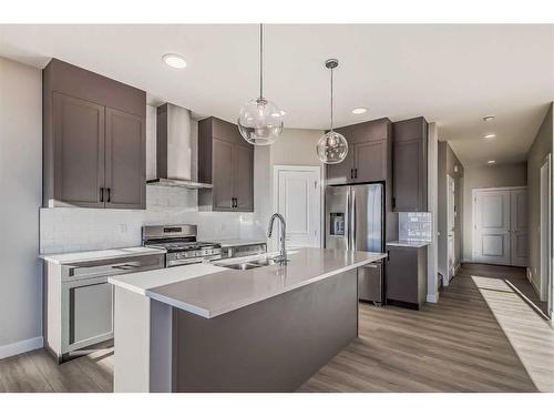 251 Belvedere Drive Se, Calgary, AB - Indoor Photo Showing Kitchen With Stainless Steel Kitchen With Upgraded Kitchen