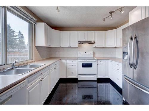 24 Erin Croft Green Se, Calgary, AB - Indoor Photo Showing Kitchen With Double Sink
