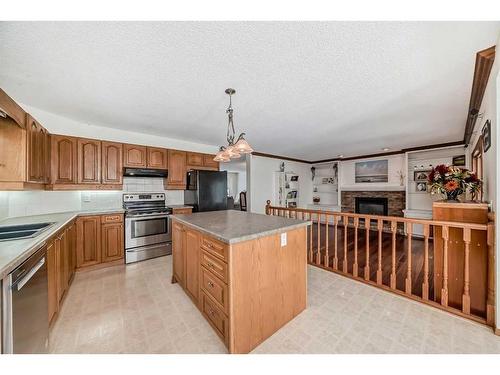 240 Deer River Place Se, Calgary, AB - Indoor Photo Showing Kitchen With Double Sink