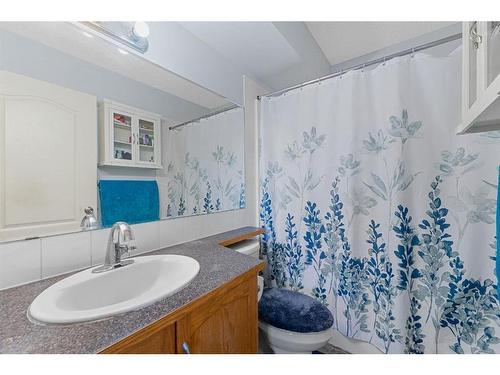 255 Taravista Drive Ne, Calgary, AB - Indoor Photo Showing Bathroom