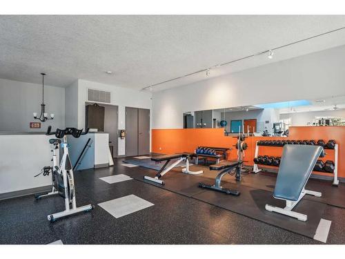 103-6 Hemlock Crescent Sw, Calgary, AB - Indoor Photo Showing Gym Room