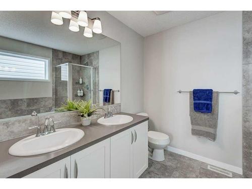 350 Cranford Drive Se, Calgary, AB - Indoor Photo Showing Bathroom