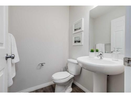 177 Buckskin Way, Cochrane, AB - Indoor Photo Showing Bathroom