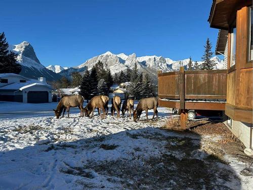 130 Settler Way, Canmore, AB - Outdoor