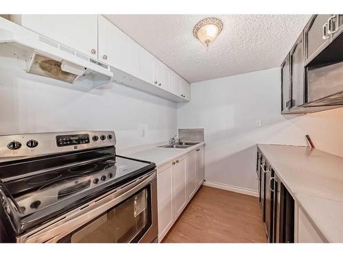 97 Martinvalley Crescent Ne, Calgary, AB - Indoor Photo Showing Kitchen With Double Sink