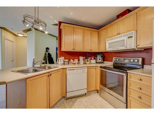 305-345 Rocky Vista Park Nw, Calgary, AB - Indoor Photo Showing Kitchen With Double Sink