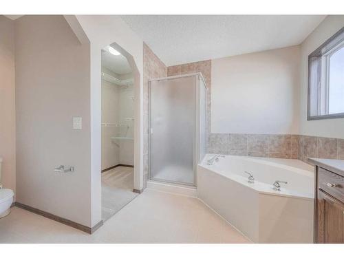 148 Chapman Close Se, Calgary, AB - Indoor Photo Showing Bathroom
