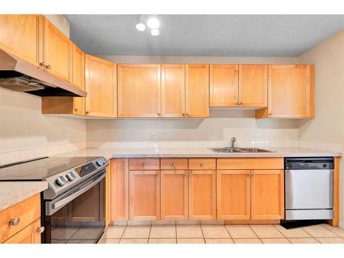 505-1919 17 Avenue Sw, Calgary, AB - Indoor Photo Showing Kitchen With Double Sink